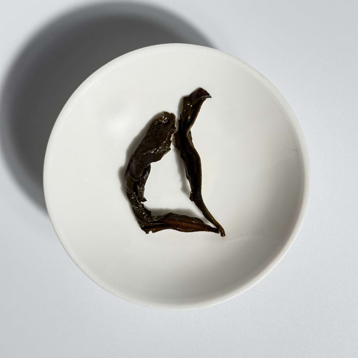 Wuyi Rock Oolong: Da Hong Pao (Big Red Robe) - Spring Harvest