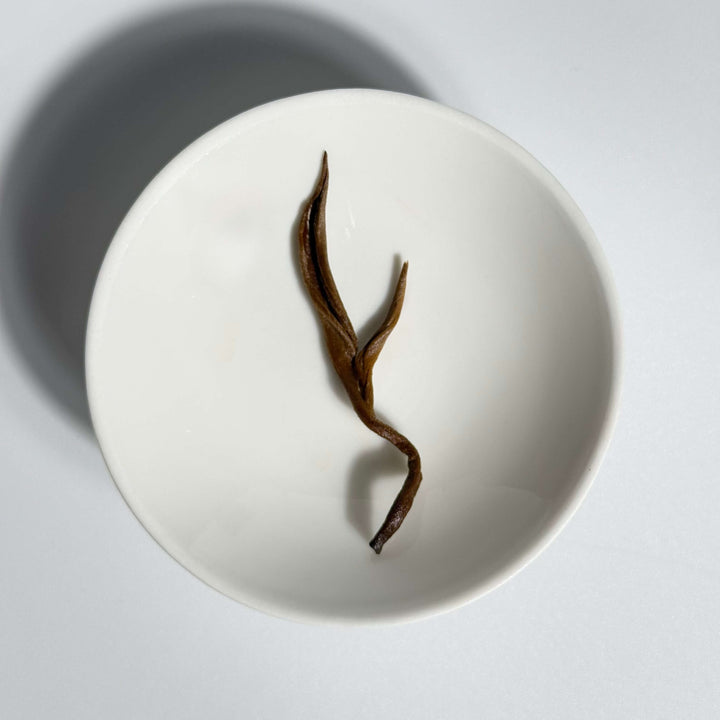 Dian Hong Jin Luo Golden Snail Yunnan Black Tea