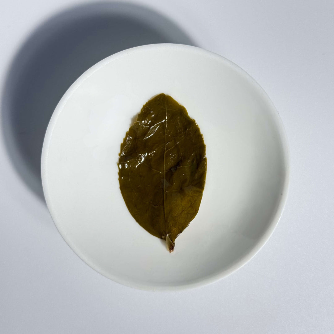Fujian High Mountain Oolong - Taiwanese Cultivar (Spring 2025)