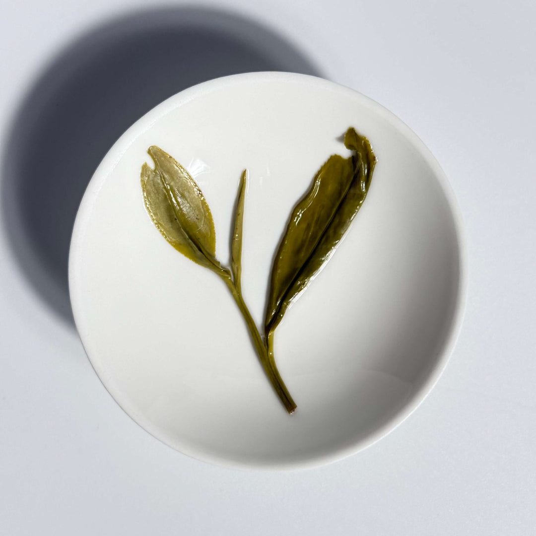 Anji Bai Cha White Leaf Spring Harvest Premium Green Tea