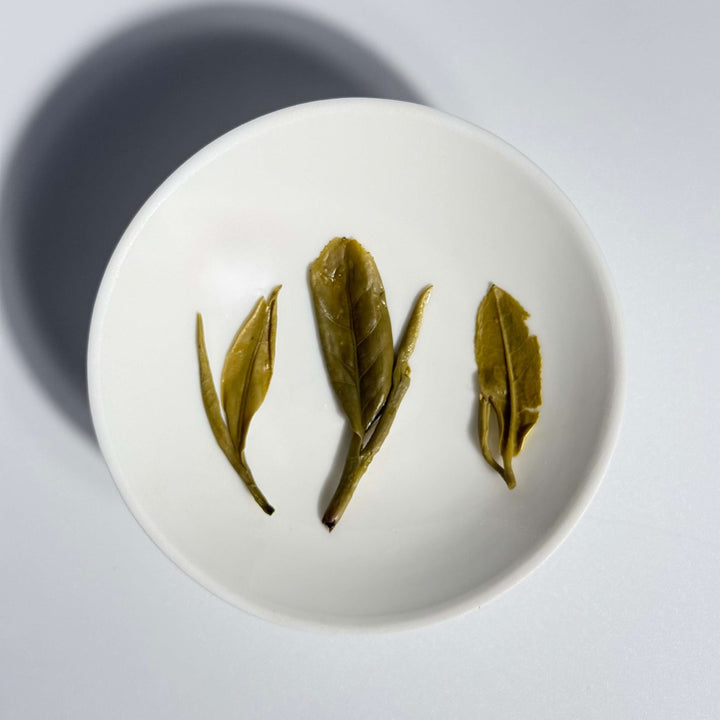 West Lake Longjing Green Tea Dragon Well Pre-Qingming Spring Harvest