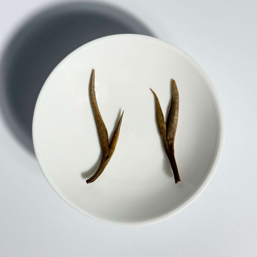 Bai Hao Yin Zhen White Tea Silver Needle Premium First Flush