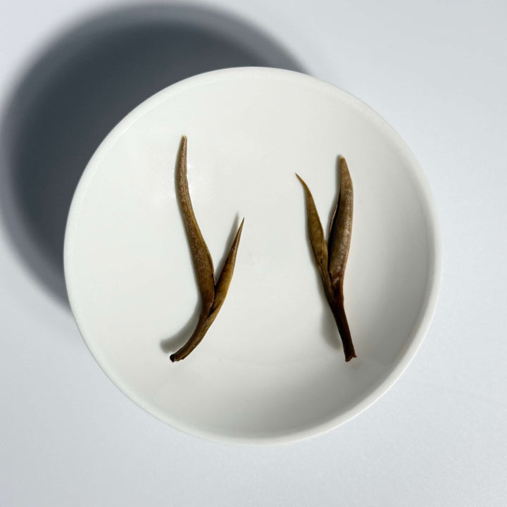 Bai Hao Yin Zhen White Tea Silver Needle Premium First Flush