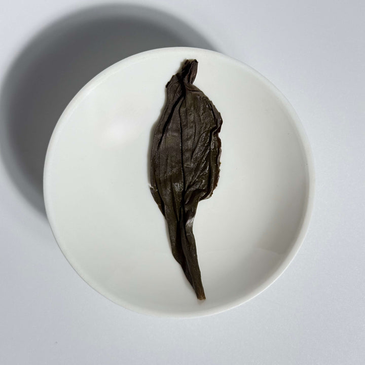 Phoenix Dancong Oolong: Da Wu Ye (Big Black Leaf)