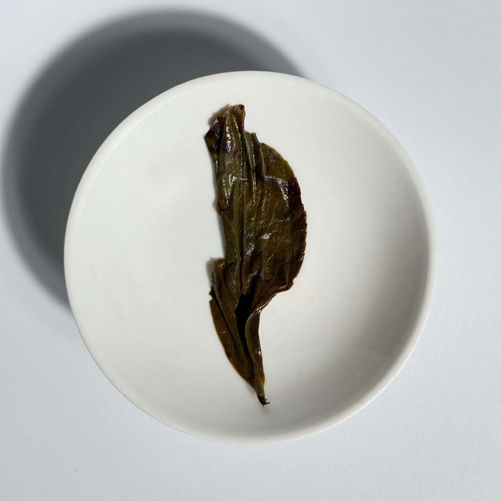 Phoenix Dancong Oolong Tea: Huang Zhi Xiang (Yellow Gardenia Aroma)
