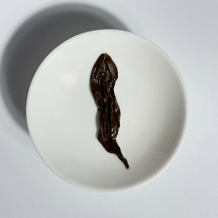 Phoenix Dancong Oolong Tea: Charcoal Roasted Mi Lan Xiang (Honey Orchid)